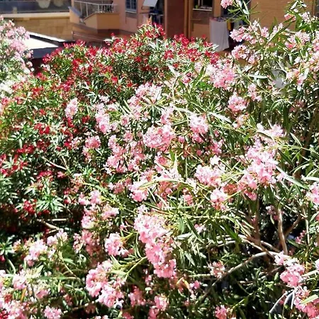 Apartament Whole Flat Close Beach Breakfast Kitchen Air Conditioning Laundry Shuttle Airport Wi-fi Car Parking Netflix Balconies Check In 24h & Metro To Rome Lido di Ostia